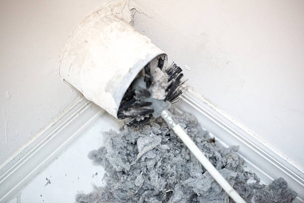 Best Professional Duct Cleaning Services  in Vandercook Lake, MI